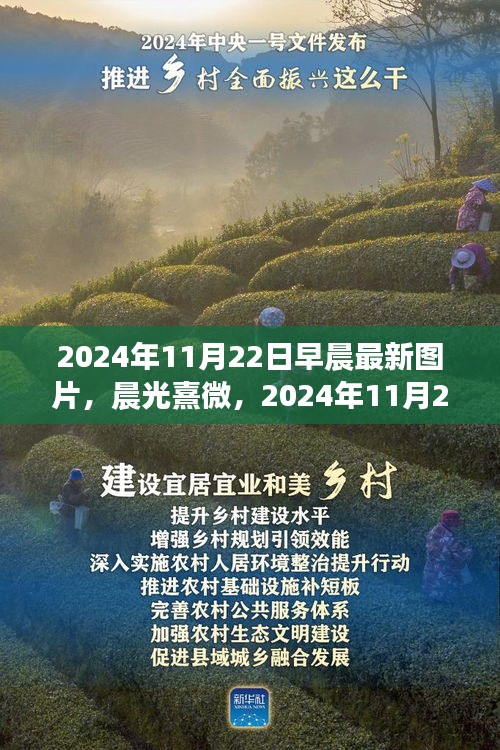 晨光熹微，探索早晨圖片的誕生與影響